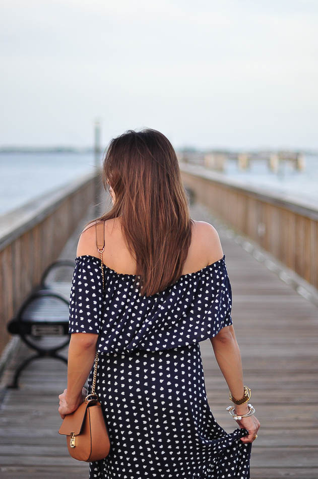 LOFT French Hen Maxi dress back details