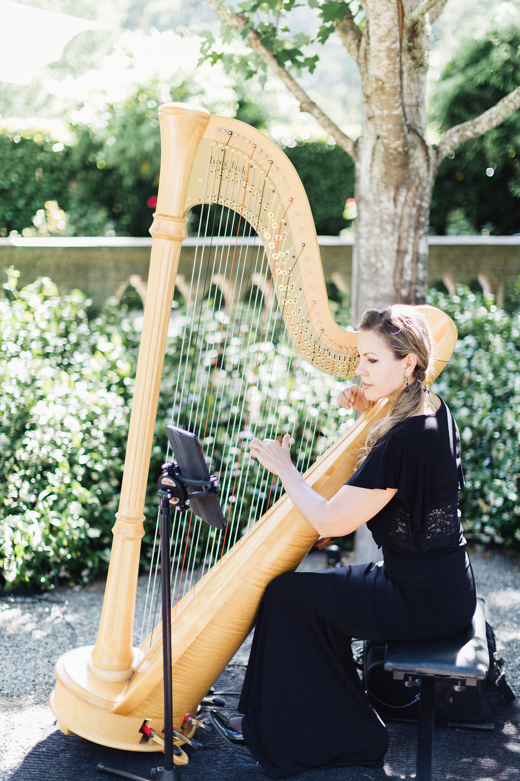 A Glam Lifestyle Blogger Amanda Champion shares a photo of their harpist, Krista Strader 