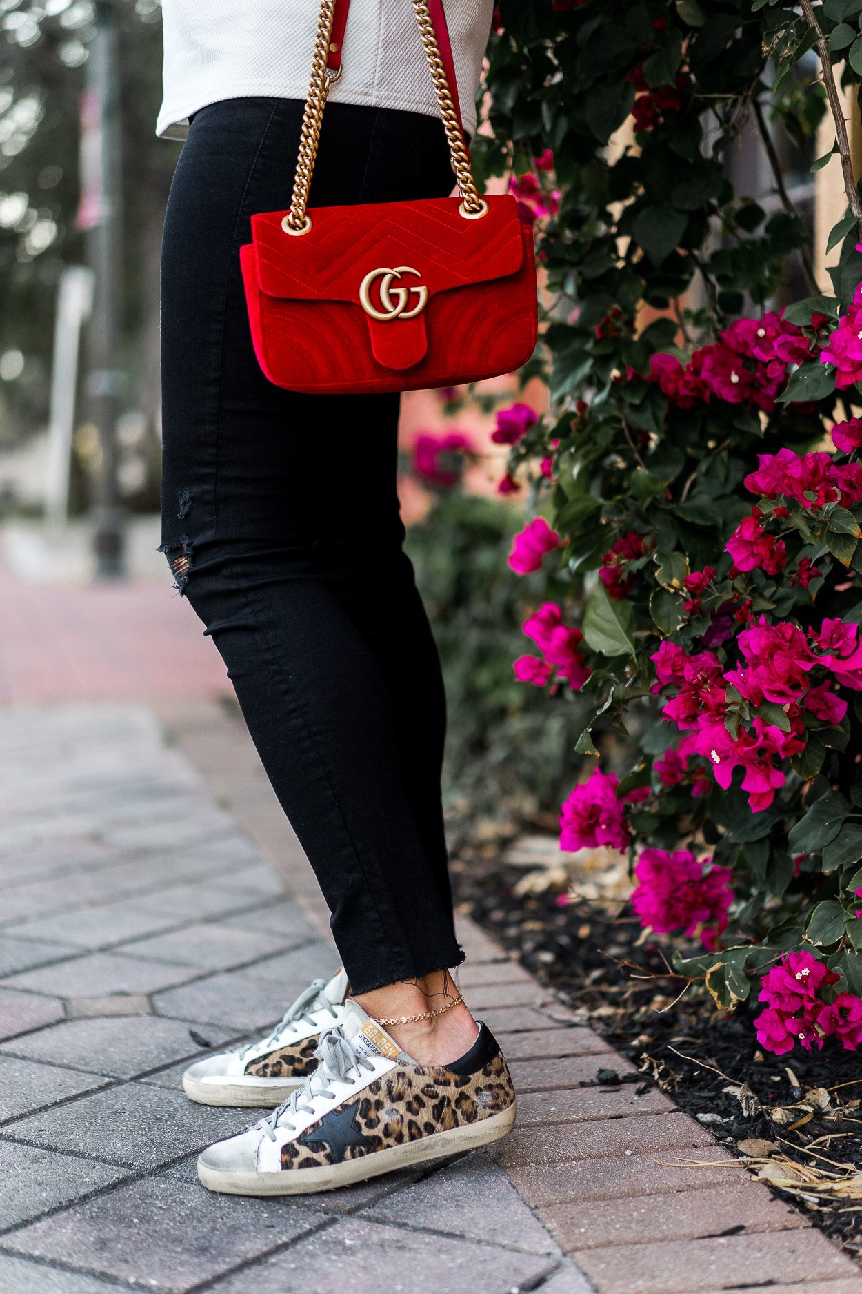 red velvet Gucci Marmont bag