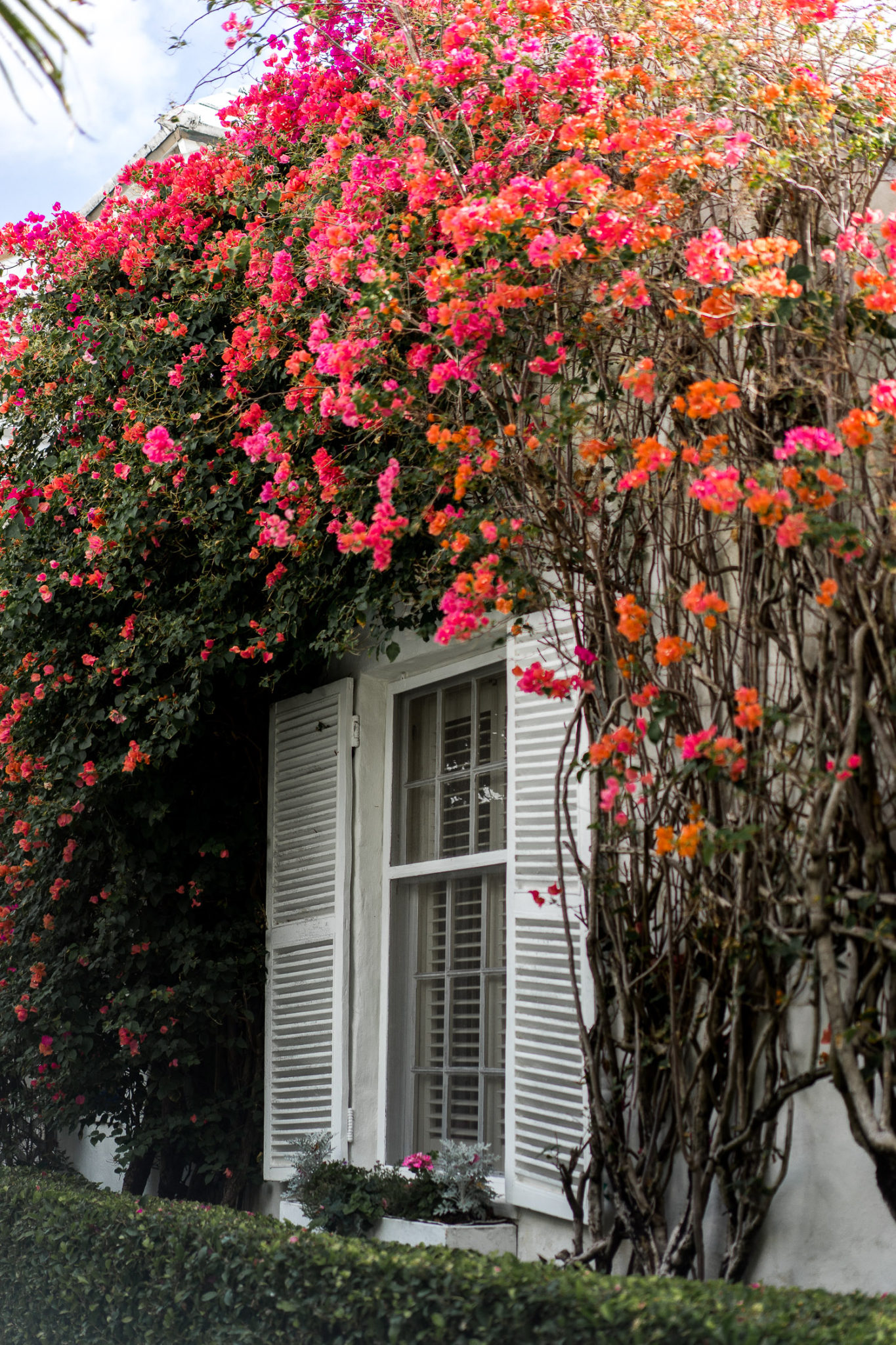 West Palm Beach florals