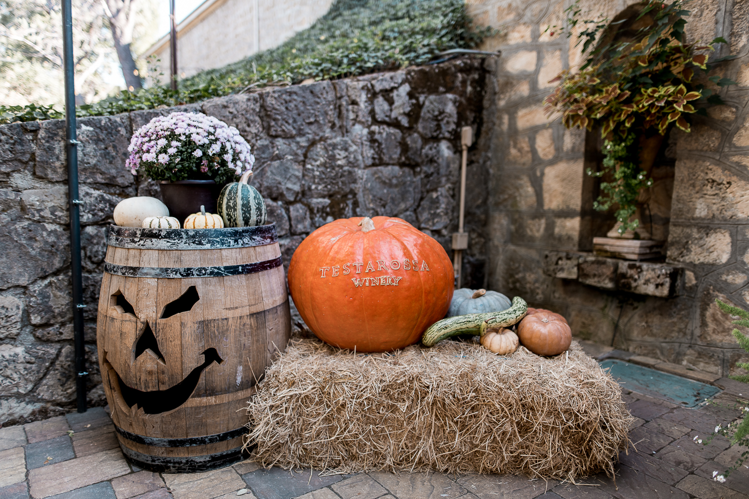 Halloween hotel decor