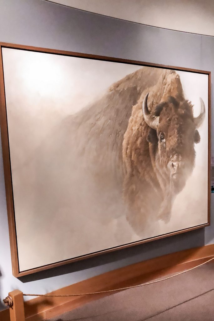 Jackson Hole Travel Guide: National Museum of Wildlife Art