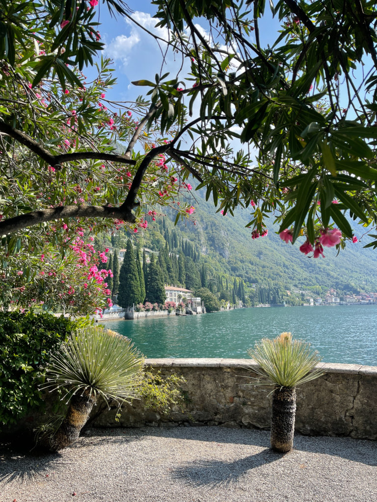 a view of the lake